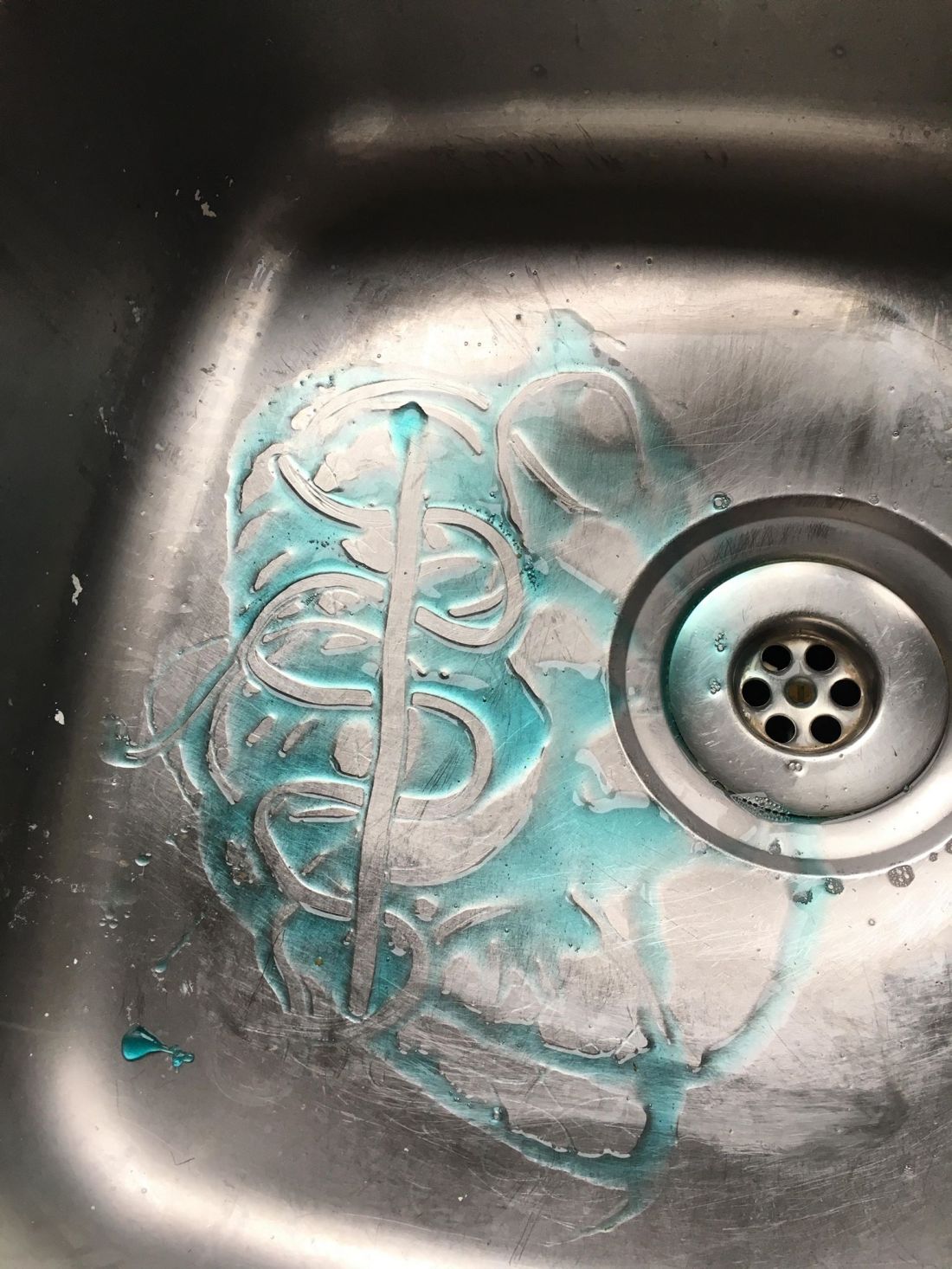 52607847_388504848646694_8469191838559895552_n